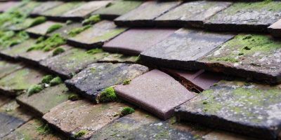 Brinklow roof repair costs